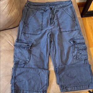American Eagle Outfitters Blue Cargo Pants